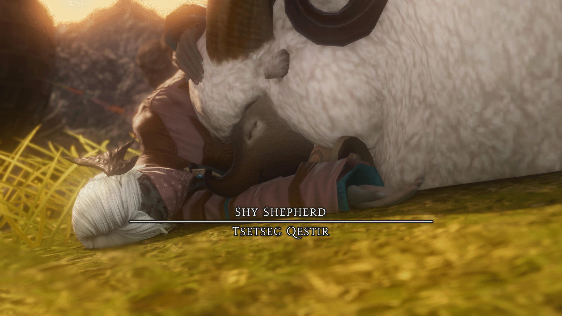 Tsetseg Qestir Tsetseg Qestir